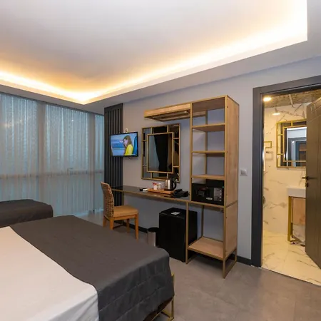 Fly And Airport 3* Стамбул