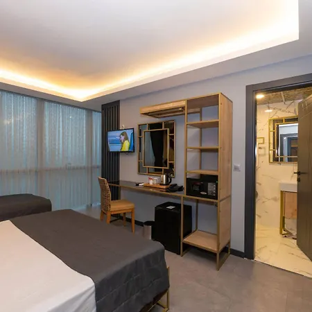 Fly And Airport 3* Istanbul