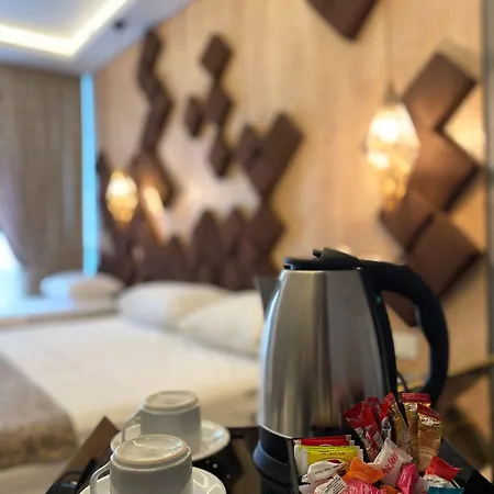 Fly And Airport 3* Istanbul