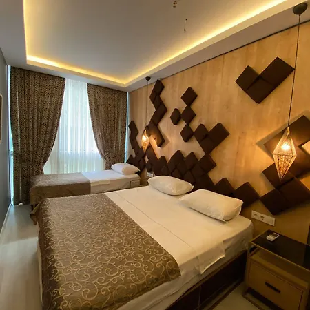 Fly And Airport Hotel 3*