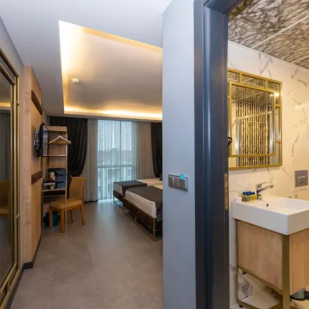 Fly And Airport Istanbul