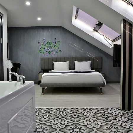 Fly And Airport Istanbul