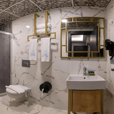 Fly And Airport Istanbul