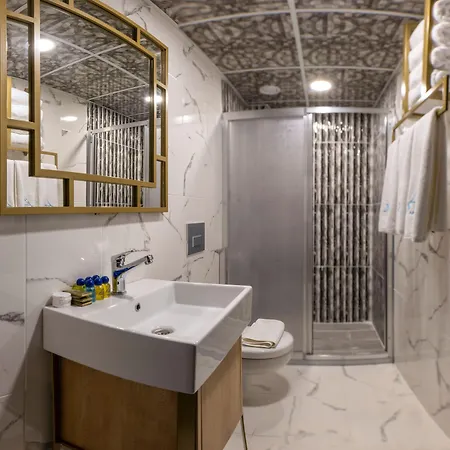 Fly And Airport Istanbul